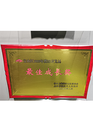 寶山區(qū)2019年度經(jīng)濟(jì)發(fā)展最佳成長(zhǎng)獎(jiǎng)